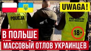 ЖЕСТЬ в Польше! Конвейер депортаций запущен облавы на фабриках, украинцы и липовые студенты!