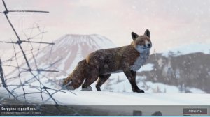 DayZ не стрим