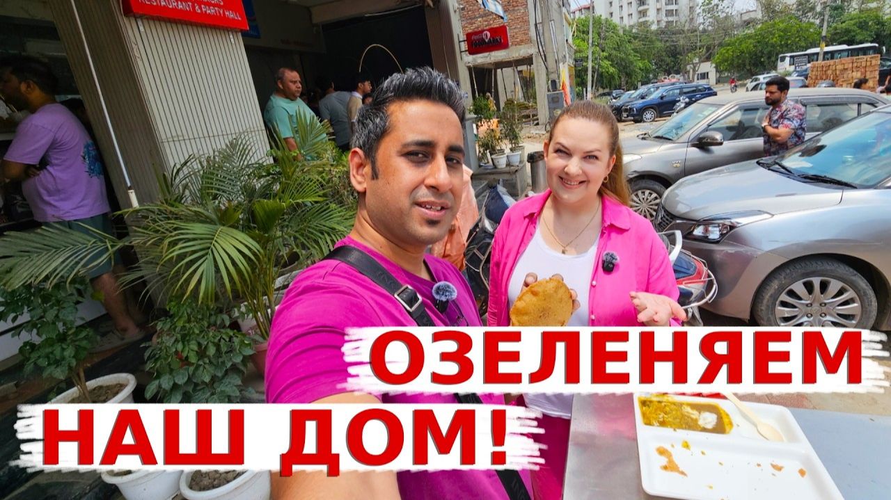 КАК ВЫЖИВАЕТ РУССКОЯЗЫЧНАЯ ЖЕНА В ИНДИИ: превращаем наш ЖК в зеленый оазис! нашла съедобный хлеб! смотреть онлайн