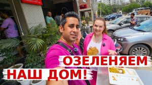 КАК ВЫЖИВАЕТ РУССКОЯЗЫЧНАЯ ЖЕНА В ИНДИИ: превращаем наш ЖК в зеленый оазис! нашла съедобный хлеб!