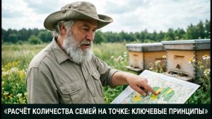 Сколько ульев ставить на точке, чтобы получить максимум мёда? Формула расчёта от Кашковского 📊🐝