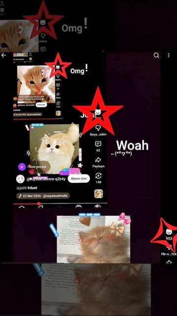 цепочку ?🐾🐾🐾🐾🐾 смотреть онлайн