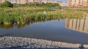 Мост Дружбы надеюсь и на Рутубе тоже.
