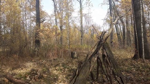 выживание в лесу, построил шалаш часть 8