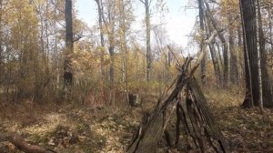 выживание в лесу, построил шалаш часть 8