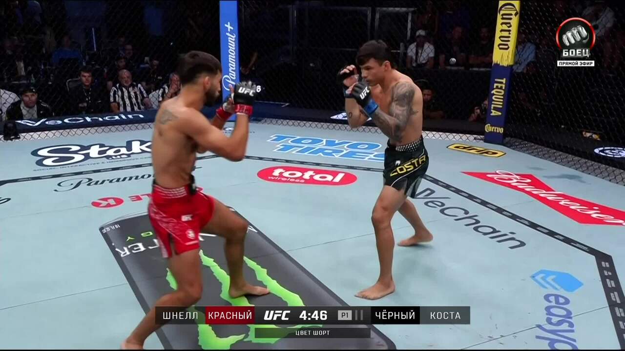 Мэтт Шнелл против Алессандро Косты (видео). UFC Fight Night смотреть онлайн