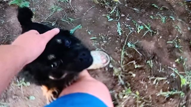 1000031660.mp4 смотреть онлайн