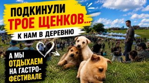 ПОДКИНУЛИ ТРОИХ ЩЕНКОВ В МЕШКЕ / ГАСТРОФЕСТИВАЛЬ СТАВРОПОЛЬ 2026 / НОВОСТИ СО СТРОЙКИ