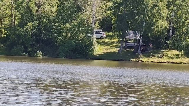 Рыбалка и дружеский отдых🐠 смотреть онлайн
