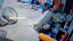 Мишка в гости заходил