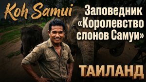 🐘 Заповедник «Королевство слонов Самуи» Таиланд. #самуи #таиланд #королевствослоновсамуи