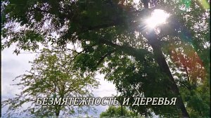 Безмятежность и деревья