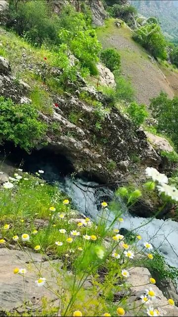 Хаккари🏔️