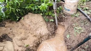 Абиссинская скважина самое дешевое и самое надёжное водоснабжение