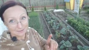 Видео привет с 6 соток 6 июня 2026 года.