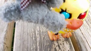 мишка подружился с чикой