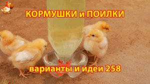 Кормушки и поилки для кур своими руками 258 🪚✂️ Пошаговая инструкция как сделать 🐔 🐓❣️