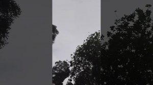 1000033079.mp4