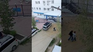 Ревнивец 😅