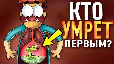 Что Если Проглотить Самую Ядовитую Змею смотреть онлайн