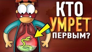 Что Если Проглотить Самую Ядовитую Змею