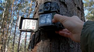 Проверка и перестановка фотоловушек. Последний подход к токующему глухарю в этом сезоне | 02.05.2026