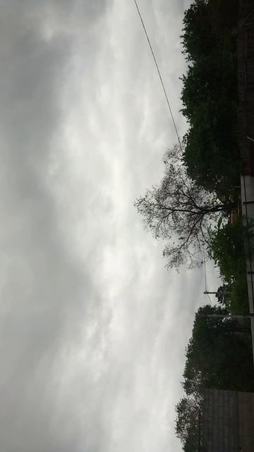 Сады.Начало1