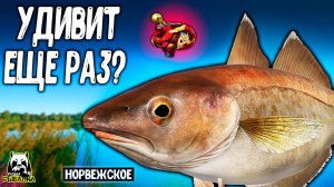 Катушка подписчика Raptor сможет ли вновь  меня удивить #рр4