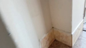 Как научить собаку команде нельзя.