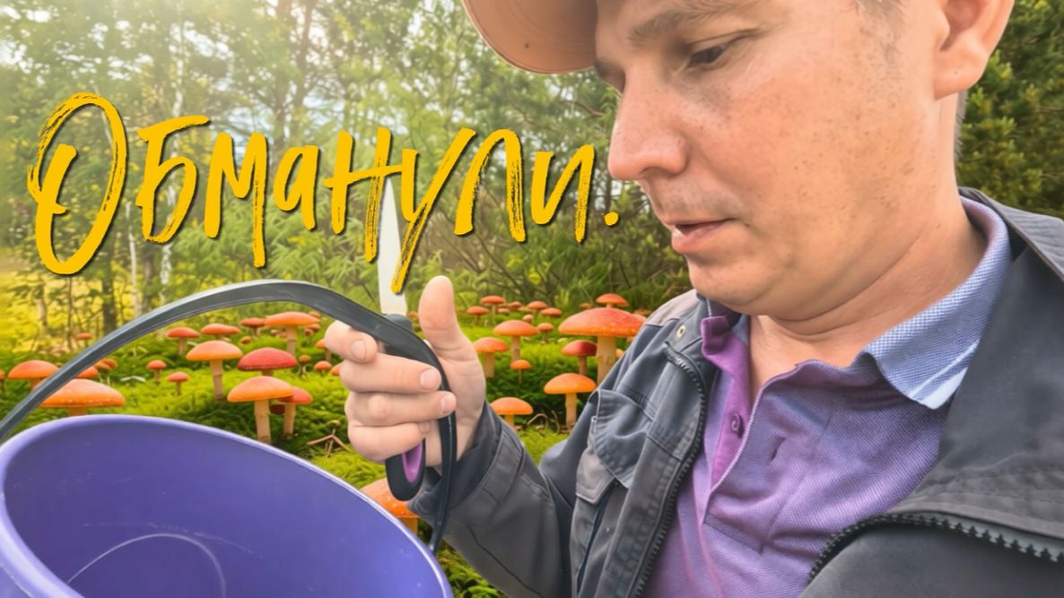 Обманули.