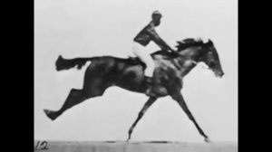 Салли Гарднер в галопе (1878) - Э.Мейбридж (США, Великобритания).