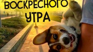 С добрым воскресным утром. Красивая музыкальная открытка.