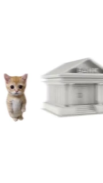 хаах