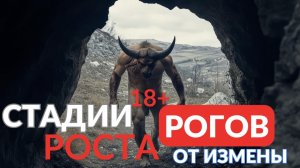 Стадии роста рогов от измены