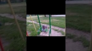 Басики гуляют