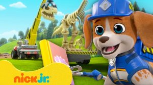 30 минут с Уилером, щенком‑учёным! | Nick Jr. Cyrillic