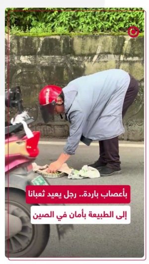 رجل في الصين يتصرف بذكاء وشجاعة لإنقاذ ثعبان علق في منتصف الطريق، ويعيده إلى بيئته الطبيعية بأمان.