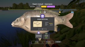 САМЫЕ ИНТЕРЕСНЫЕ РАЗДАЧИ ФАРМА И ТРОФЕЕВ НА 07.06 ОБЗОР ВОДОЕМОВ В РУССКОЙ РЫБАЛКЕ 4 РР4