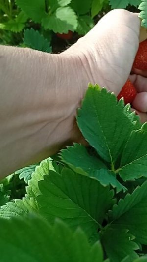 Прошлое