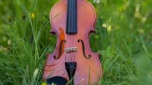 Скрипка музыка. Современная скрипка. Спокойная скрипка. Красивая скрипка. Грустная скрипка без слов