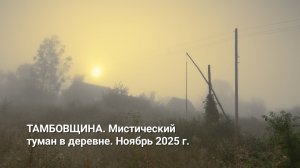 Тамбовщина. Мистический туман в деревне. Ноябрь 2025 г.