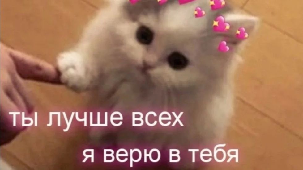 ВЕРЮ В ВАС ❤️