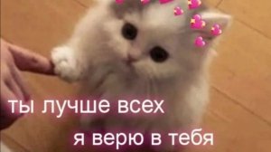 ВЕРЮ В ВАС ❤️