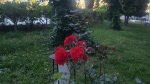Экскурсия по ОТЕЛЮ-уже НАОТДЫХАЛАСЬ