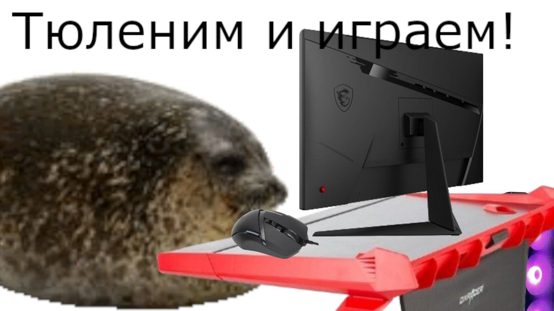 Тюленим и играем в разные игры!(Общение со зрителями)