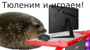 Тюленим и играем в разные игры!(Общение со зрителями)