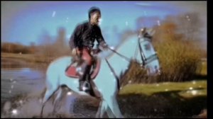 «ПТИЦА-ВОРОН». Душевная песня. ИИ делает потрясающие вещи...
