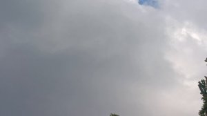 Полёт орла над ущельем реки Аликоновки