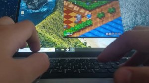 я играл sonic 3d blast на пк