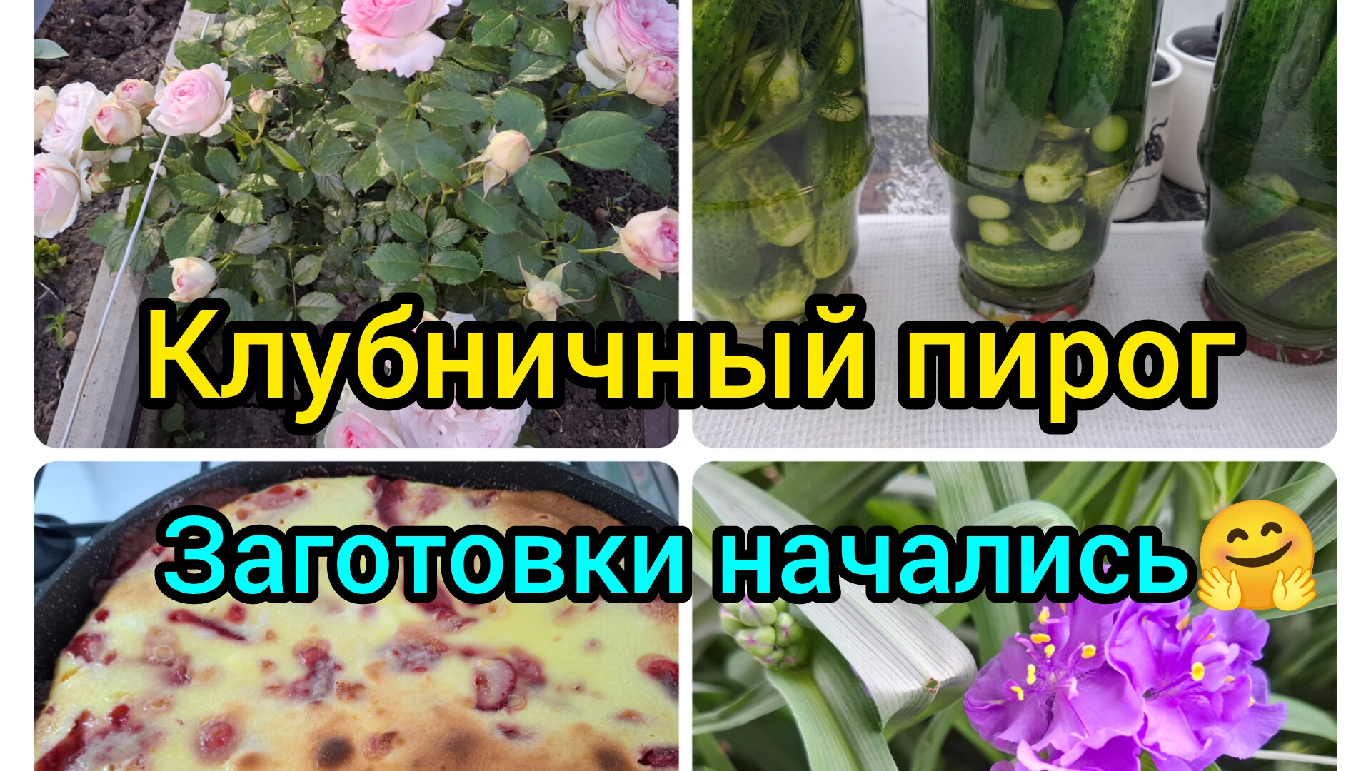 07-06-2026/ Живём и работаем на Кубани/ Клубничный пирог/ Маринованные огурцы/ Забрали ковры/ Кубань смотреть онлайн